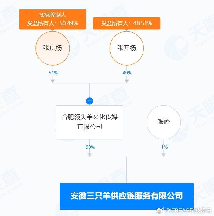 小杨哥所持51万元股权被冻结，深度解析事件背景与影响_全面解答