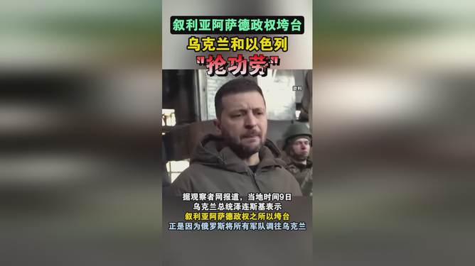 阿萨德政权为何在短短十二天内垮台_反馈总结和评估