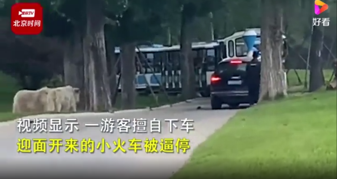 中国游客国外火车探身拍视频坠车