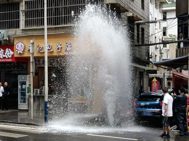 四川一小熊猫疑被车辆撞倒，事件背后的反思与启示_反馈实施和执行力