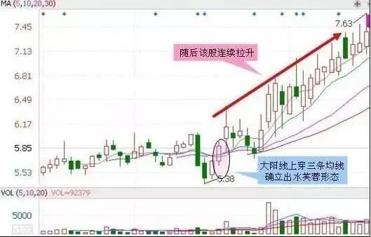 2024新澳门天天彩期期精准,逐步落实和执行_入门版93.68