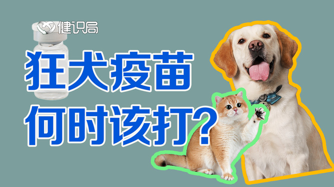 关于被猫狗抓咬伤是否需要打狂犬疫苗的探讨_词语解释