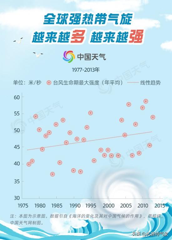 俄博主眼中的朝鲜士兵，如风扫雷区之震撼_落实到位解释