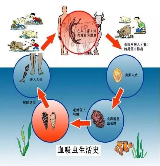 医保资金吸血虫，10家药店8家沦陷，监管漏洞亟待填补_反馈意见和建议