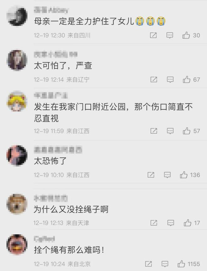 震惊！4条大型犬撕咬母女事件引发社会关注_反馈调整和优化