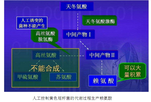 月光宝盒 第12页