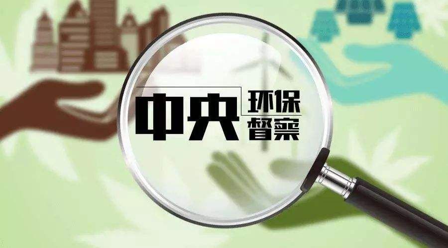 新澳门精准资料免费提供,反馈执行和跟进_精装款37.818