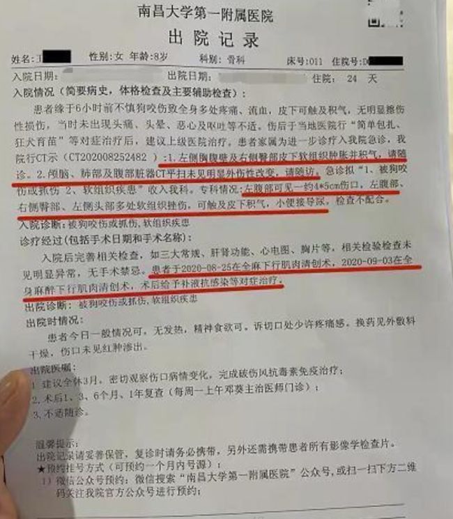 通报母女被恶犬咬伤事件，反思与行动_精选解释落实