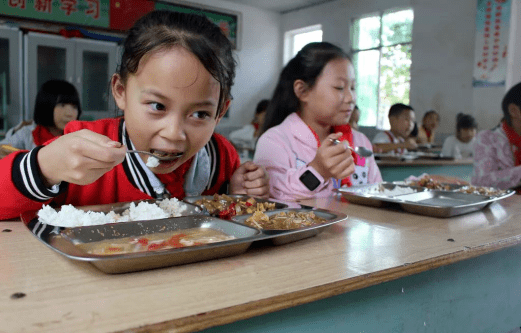 学校食堂异物事件，深度分析与反思_执行落实