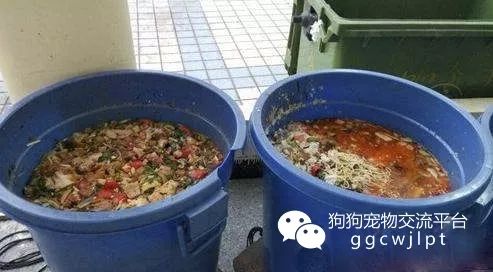 给学生吃狗食桶剩菜