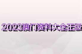 澳门正版资料大全歇后语,执行落实_进阶版99.343