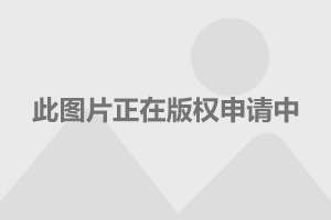 李嘉欣和老公滑雪 皮肤白到发光