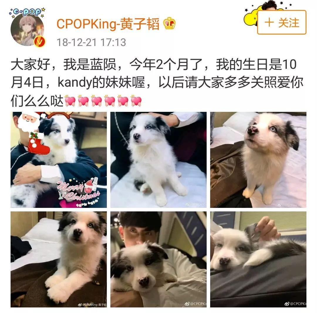 关于狗咬伤后四个月还能否接种疫苗的问题解答_详细说明和解释