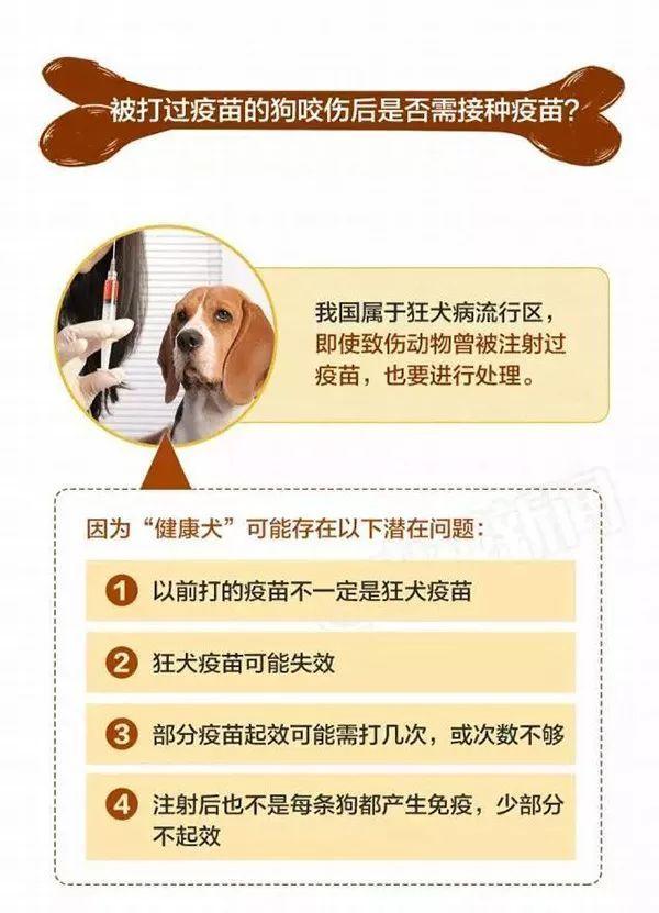 关于狗咬伤四年后是否会得狂犬病的探讨_解释定义