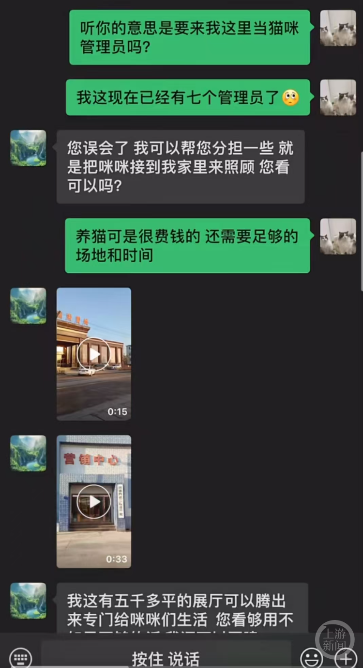 五千平展厅爆改猫咖，一场独特的艺术之旅与猫咪的梦幻邂逅_贯彻落实