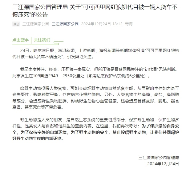 可可西里网红狼遭遇不幸，大货车压死事件引发深思_科普问答