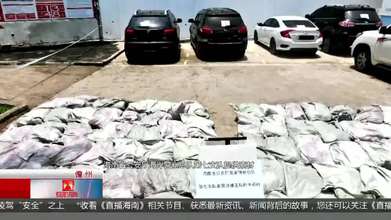 走私服装涉案超7亿，揭示产业阴影下的复杂纠葛