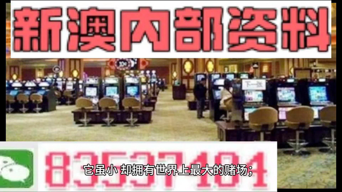 2024澳门精准正版_set43.37——新机遇与挑战的深度分析