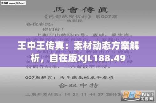 7777788888王中王传真_粉丝款86.678——新挑战与机遇的应对