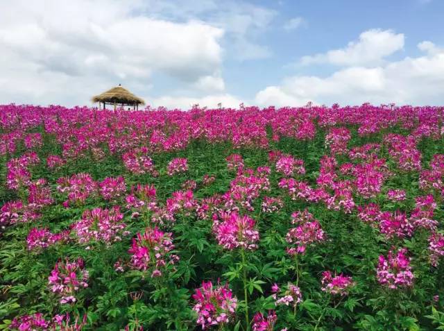 游客遭遇订房风波，三千元预订，入住遭加价