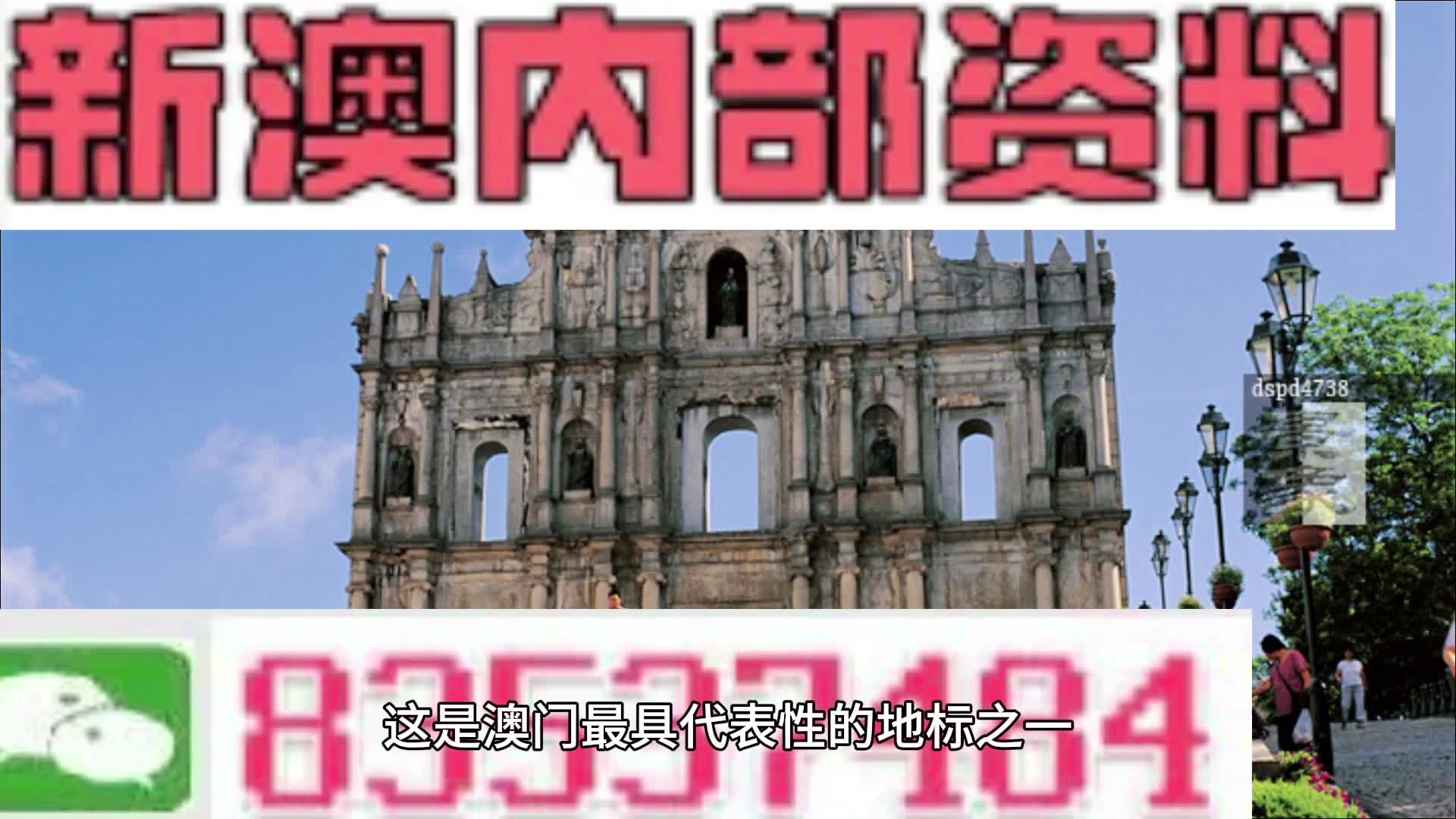 2024年澳门精准免费大全——助你轻松理解数据分析