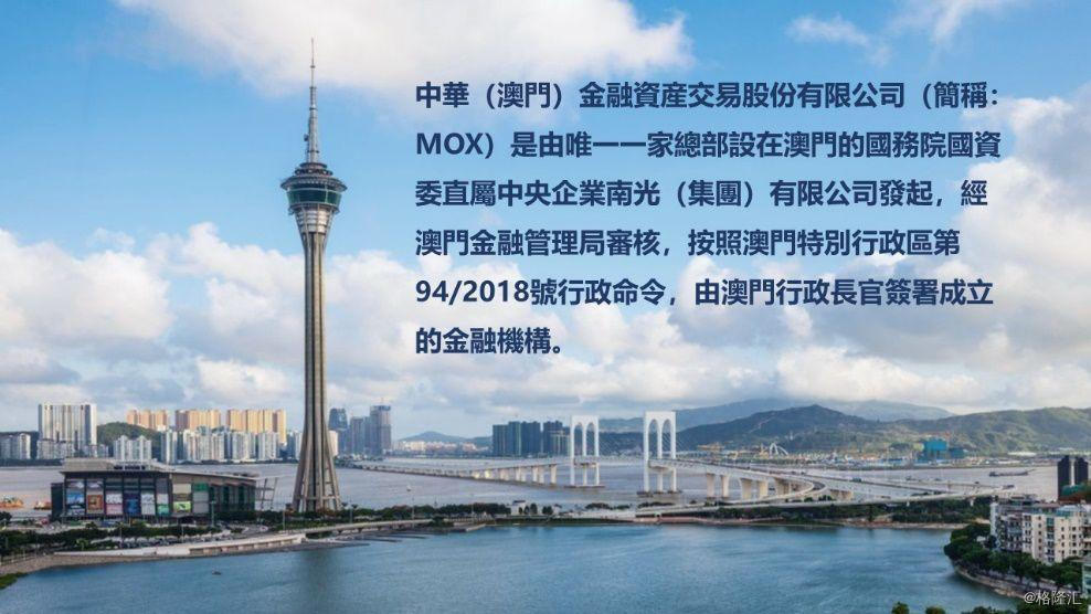 澳门最滩一码一肖一码公开——助你规划未来的成功之路