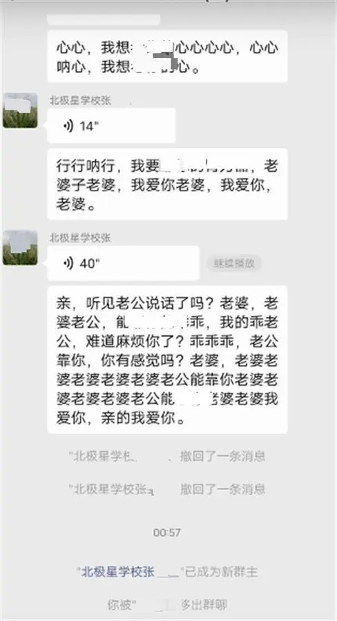 镇书记在工作群发不雅言论，当地回应背后的故事