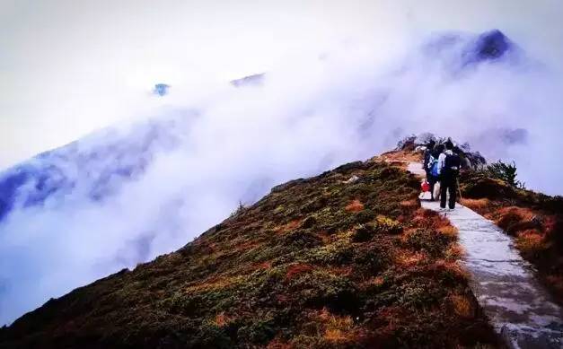 穿越太白山景区，意外走补票路