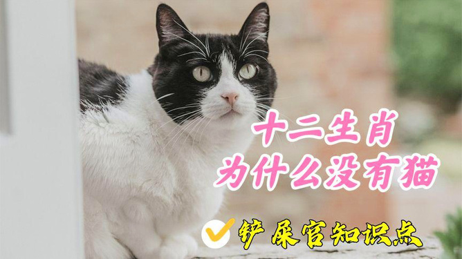 十二生肖新篇，猫缺席的传奇故事