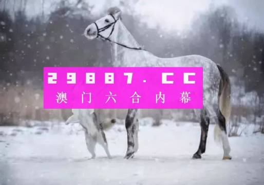 揭秘最准的澳门一肖一码——体验冰雪带来的奇妙感受