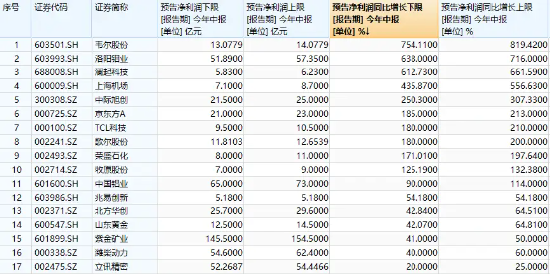 管家婆一票一码资料——助你实现目标的新年愿景