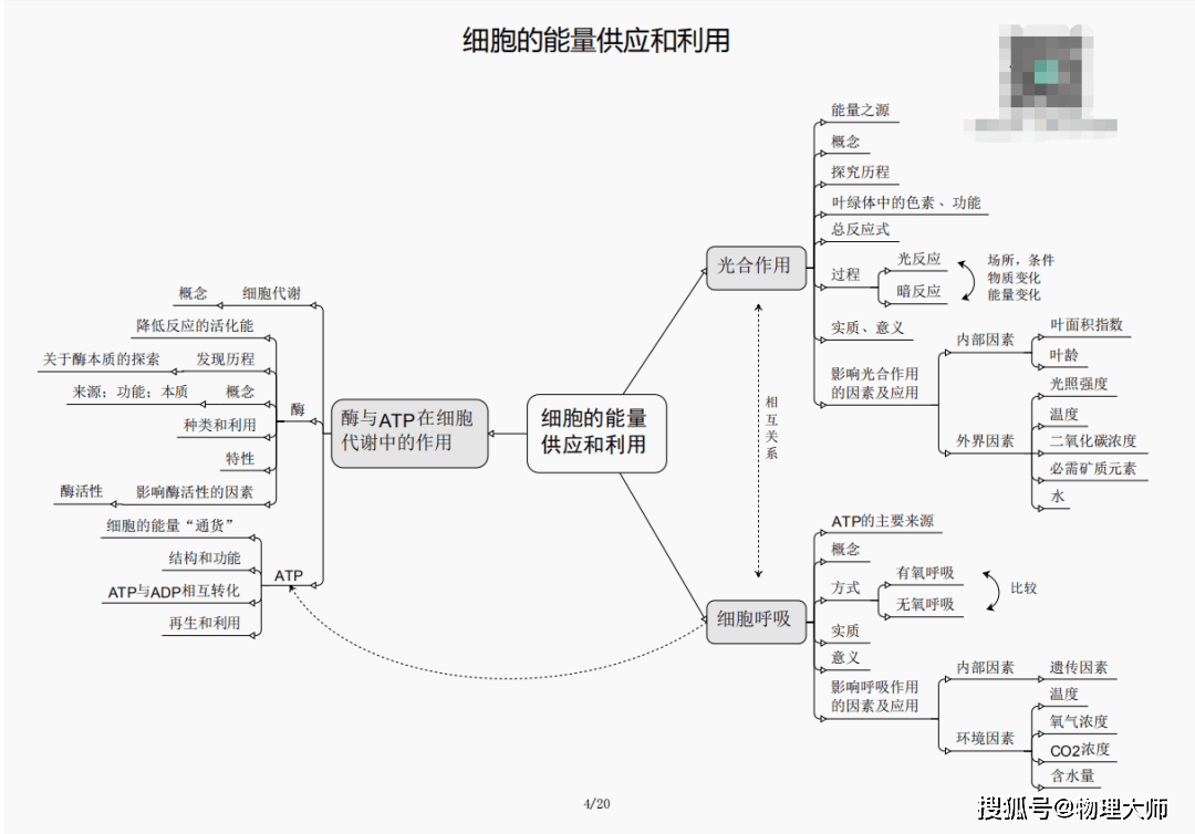 三肖必中三期必出资料——助你轻松选择幸运数字