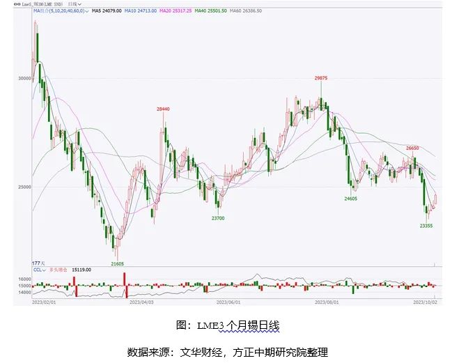 2023年澳门特马今晚开码——揭秘最新市场动态