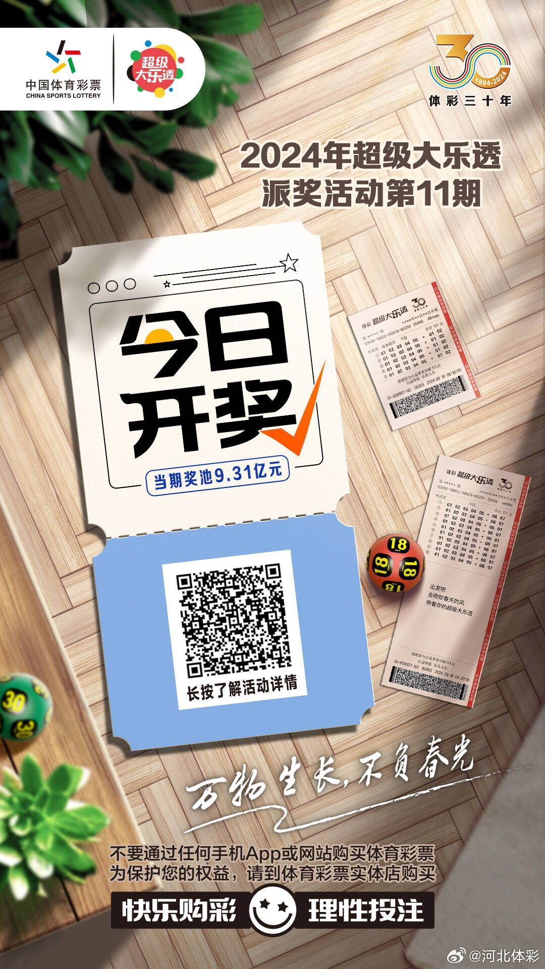 白小姐一肖一码今晚开奖——在生活中寻找智慧与启示