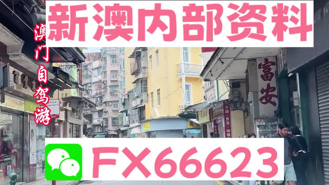 新澳精准资料免费提供4949期——感受大自然的神奇与壮丽