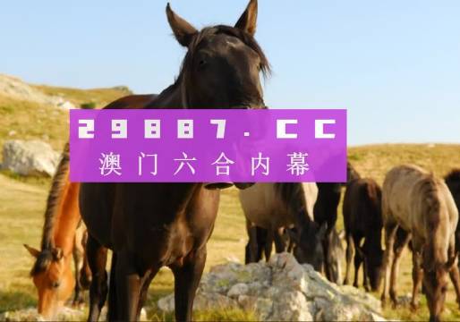 2024澳门管家婆一肖一码——体验不同文化的魅力与风情