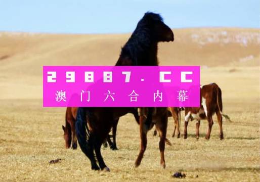 777778888精准跑狗——探索古代遗址的魅力，感受历史的厚重