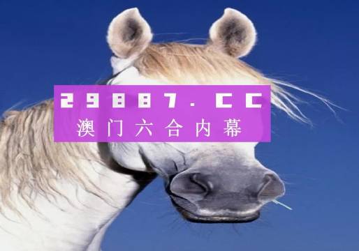 香港免费资料王中王资料——揭示幸运数字的选择技巧