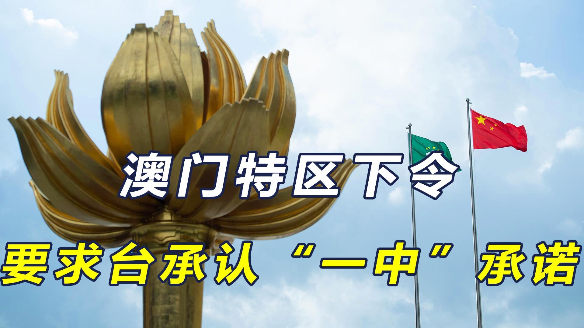 澳门一码一肖一待一中四不像——内部报告与市场分析