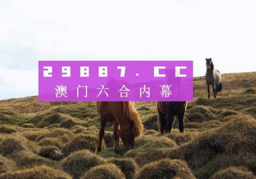 2023澳门天天正版资料——揭示幸运数字的选择技巧