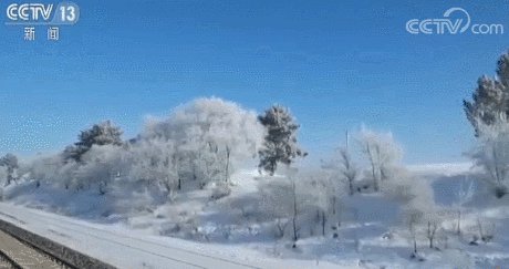 火车车厢门在哈尔滨被冻住了，冰雪王国的奇妙遭遇