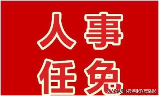 河北保定公交车相撞事件全解读，公交公司回应，市民的反应如何？