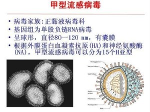 甲流的治疗方法有哪些