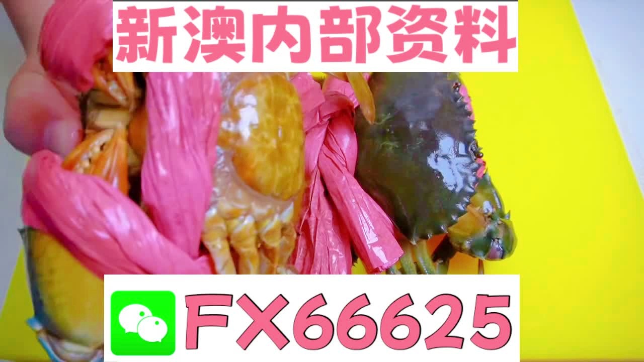 新澳六叔精准资料大全——新挑战与机遇的应对方法