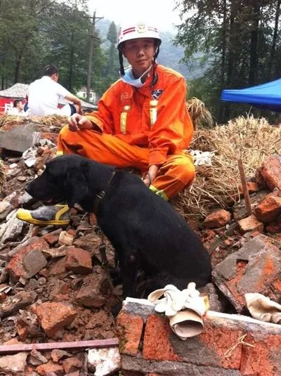 地震获救狗狗一瞬间认出救命恩人，温馨与奇迹的故事