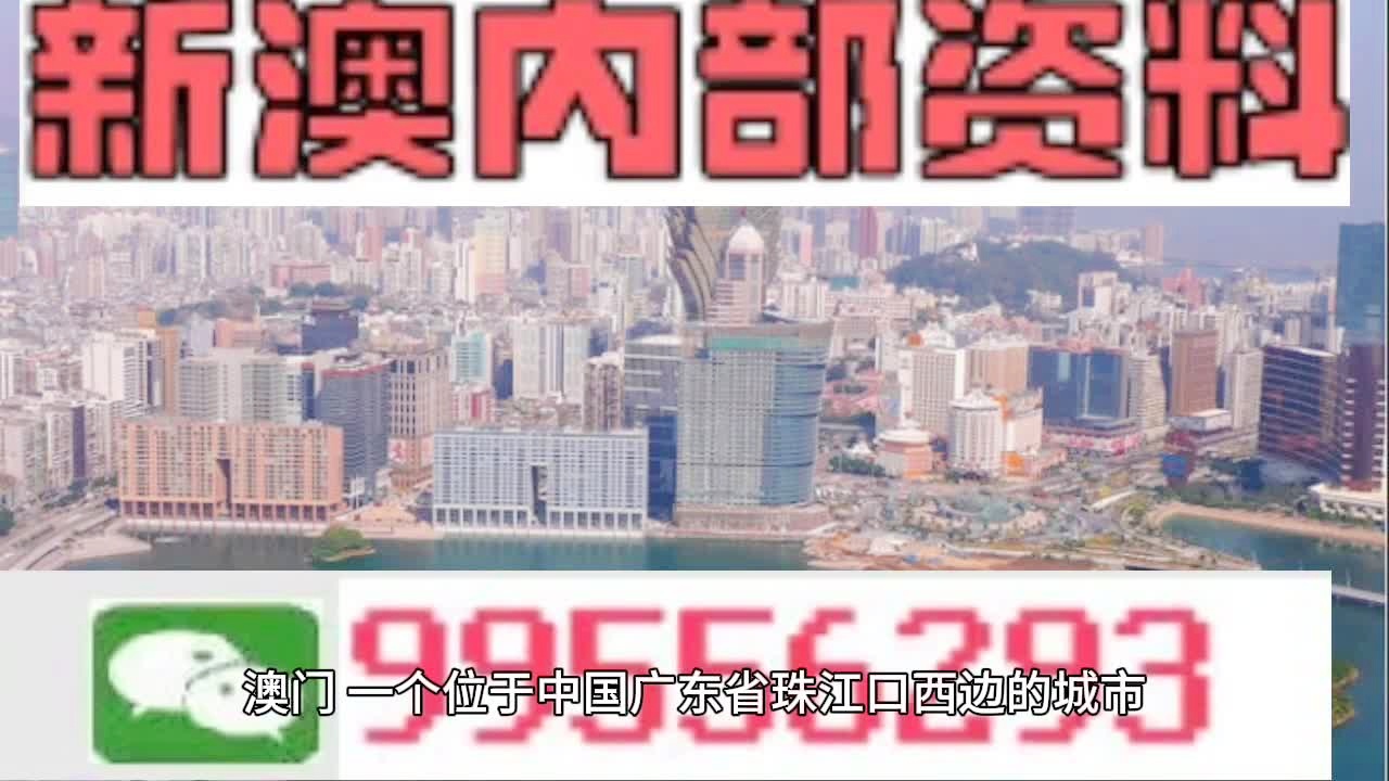 2024年新奥梅特免费资料大全——落实执行_C版29.758