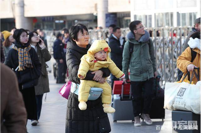 春运路上的毛孩子——和你一起的旅伴