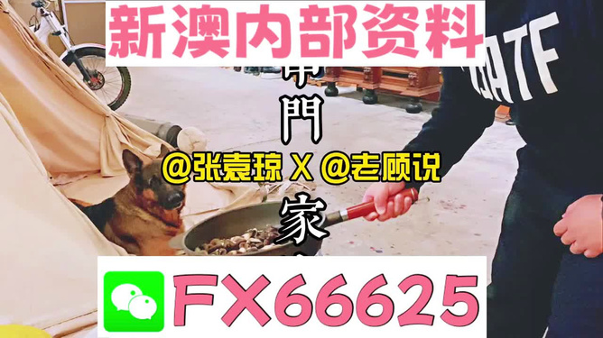 澳门管家婆资料提供