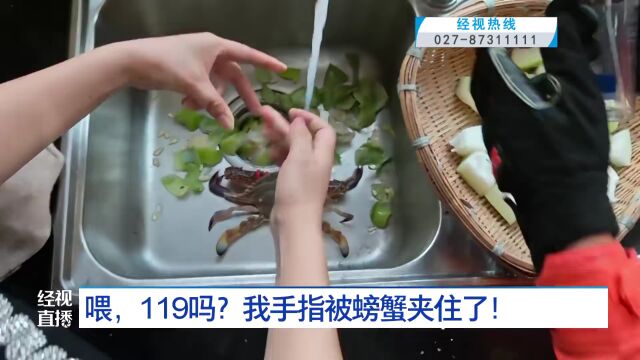 螃蟹大作战，女子被1斤重螃蟹夹手求助119的趣事