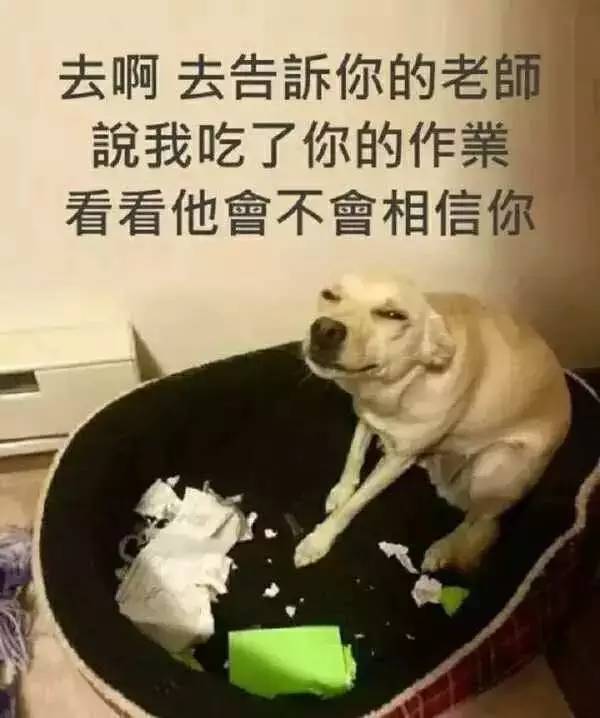 讲个鬼故事